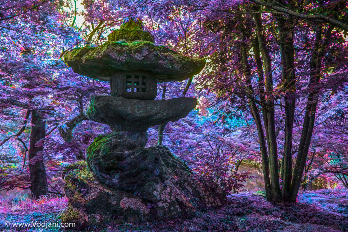 Iran-Qeshm-2-von-2-2_web