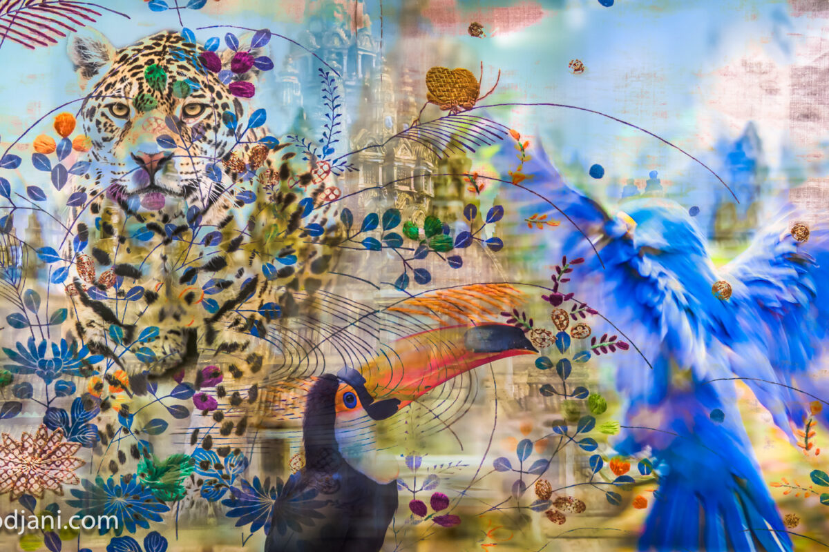 SinaVodjani-1-von-1-76_web